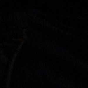 Meet your Posher, Monique